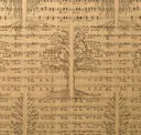 Silver Birch