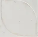 Bone