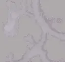Estuary