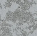Granite