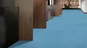 Oasis