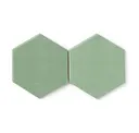 Sea Green - Matte