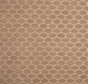 Golden Canvas