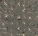 Ash