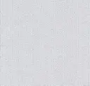 Celestial White