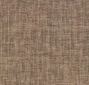 Tortoiseshell