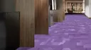 Lavender Haze