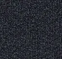 1q31