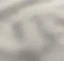 Dove