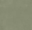 Pistachio