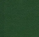 Green Cactus