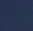 Ocean Blue