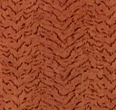 Tuscan