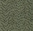 Nori
