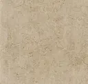 Vessa