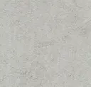 Verdin
