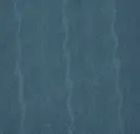 Whale