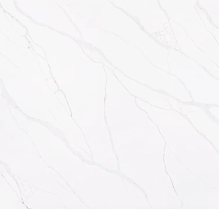 Main