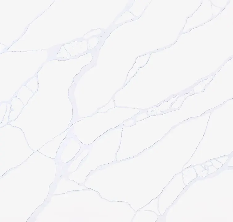 Main