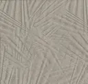 Clay