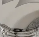 Polished Chrome