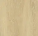 Plaster