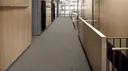 Strata