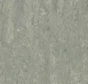 Pigeon Grey