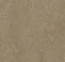 Sparrow