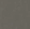 Meteorite