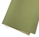 Pistachio