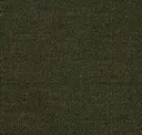 16/1