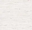 Bone