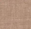Cocoa