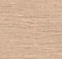 Terra