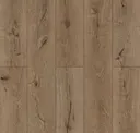Forgotten Bark