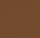 Burnished Bronze