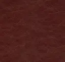 Alpha