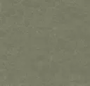 Troop