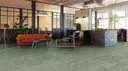 Dtn240 Moss