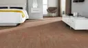 Dtn70 Brick