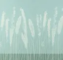 Spray