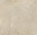 Bone