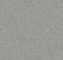 Dew