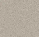 Pebble