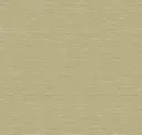 Sahara