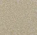 Pebble