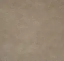Dove