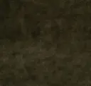 Moss