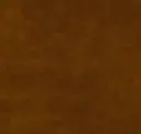 Spice